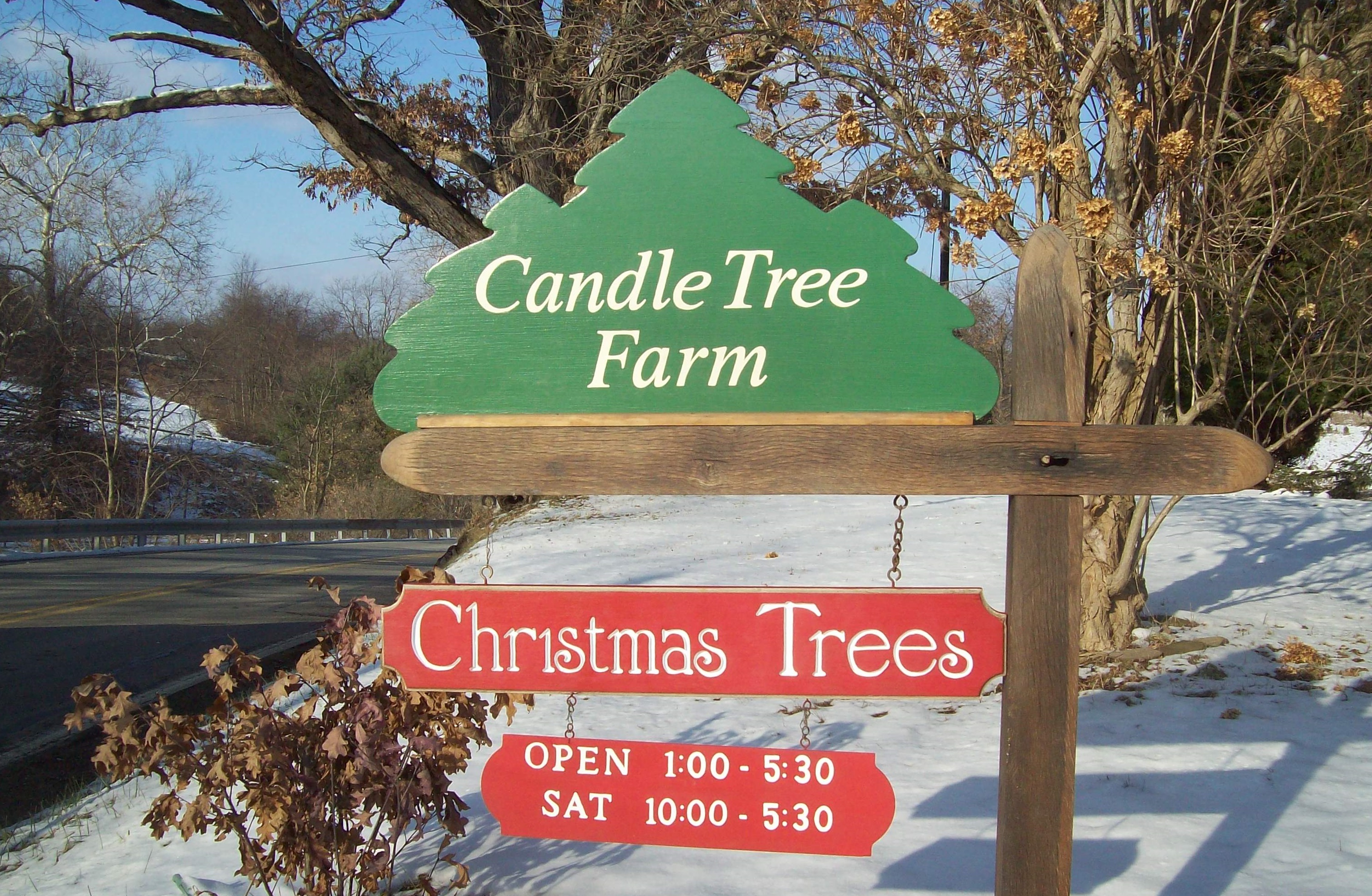 candle tree farm christmas tree farm pittsburgh pa