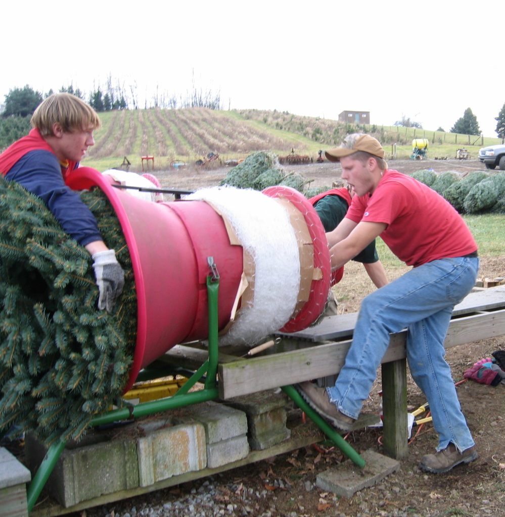 Our Products Candle Tree Farm